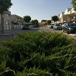 Sunny Ofir *