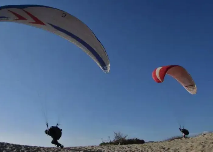 Sunny Ofir 게스트하우스