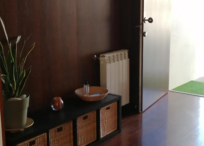 Sunny Ofir Gasthuis Fão